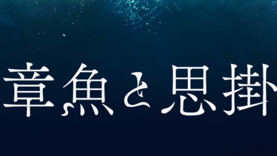 章魚と思掛